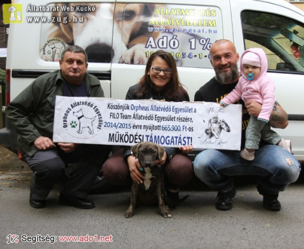 Állatmentés, rehabilitáció - állatvédelmi munkánk mellett más állatvédő szervezeteket is támogatunk
