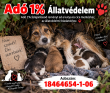 Adó 1% - 2027 - állatok